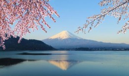 日本富士山最新爆料视频,神秘云海奇观震撼登场